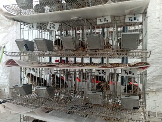Investigación 4
