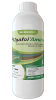 Algafol_amino