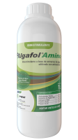 Algafol_amino