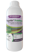 Algafol_trasloque