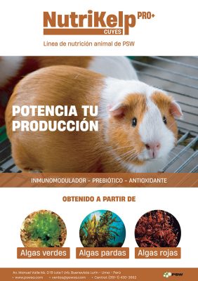 Nutrikelp Pro - Cuyes