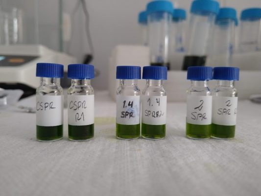 Investigación 4