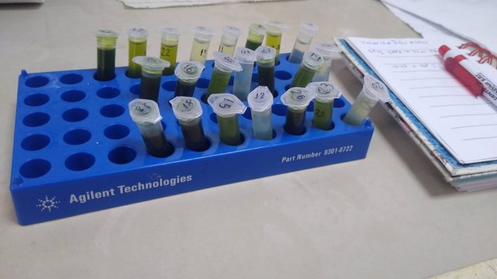 Investigación 1