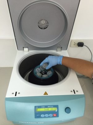 Extracto cosmecéutico 1