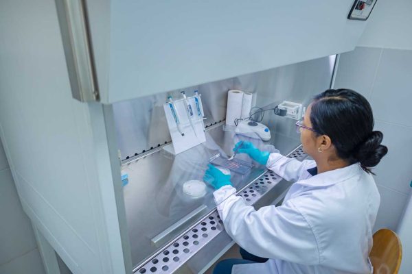 Kelly-Siaden---Microbiology-Lab-ii