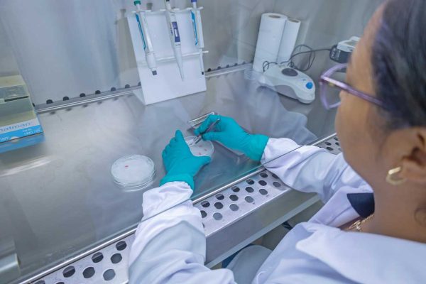 Kelly-Siaden---Microbiology-Lab