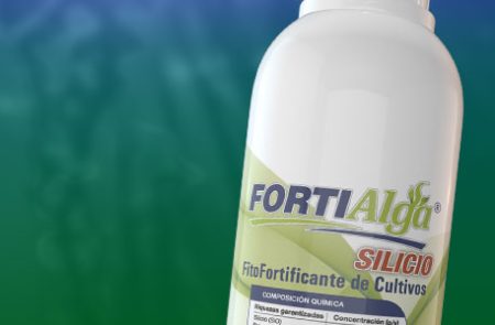 Línea_fortialga_psw