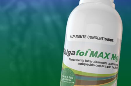 Productos_altamente_concentrados_psw