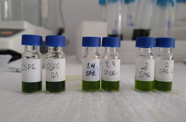 img-card-investigaciones-internas-1